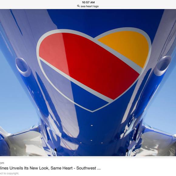 Meet your Posher, Deedee - Picture 1 of 1